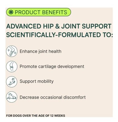 Excellent Benefits For Your Pup